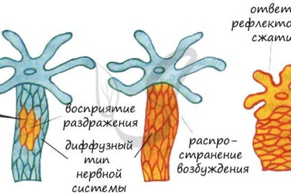 Кракен ссылка оригинал